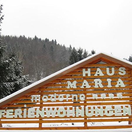 Ferienwohnung Haus Maria Todtnau Exterior foto