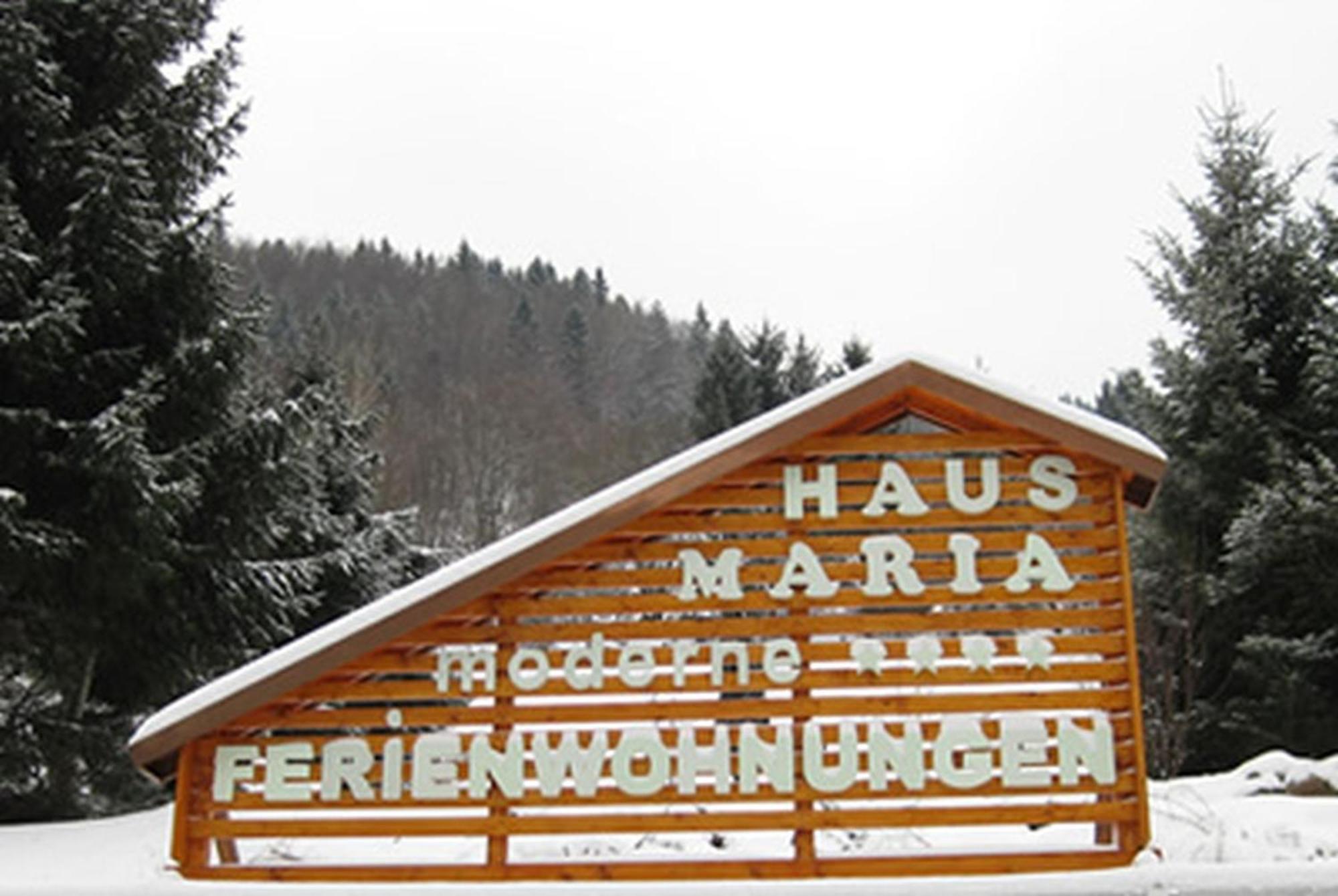 Ferienwohnung Haus Maria Todtnau Exterior foto