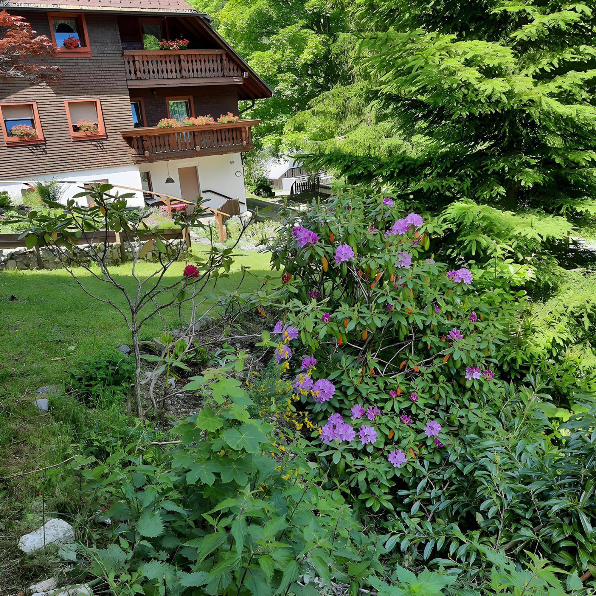 Ferienwohnung Haus Maria Todtnau Exterior foto